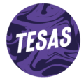 Marcas Tesas Sostenibles